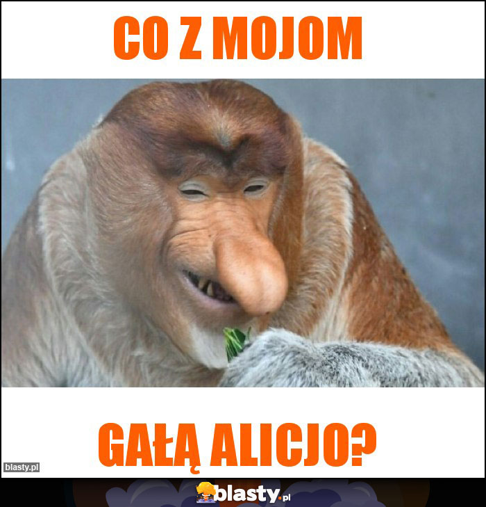 co z mojom