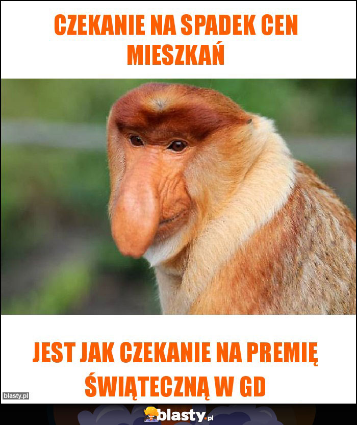 Czekanie na spadek cen mieszkań