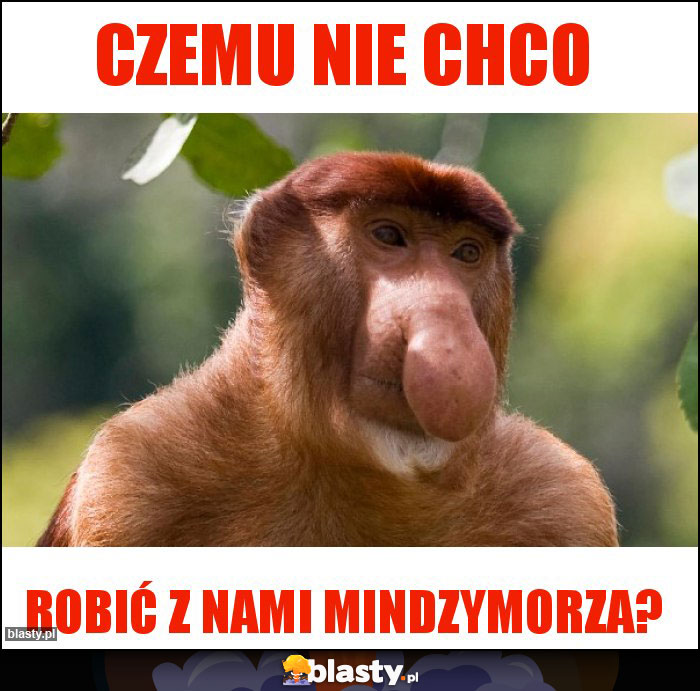 Czemu nie chco