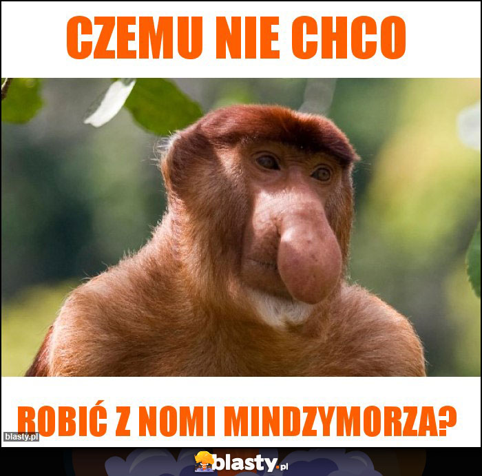 Czemu nie chco