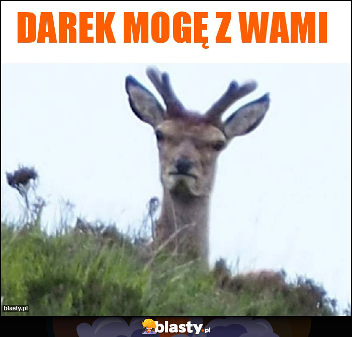 Darek mogę z wami