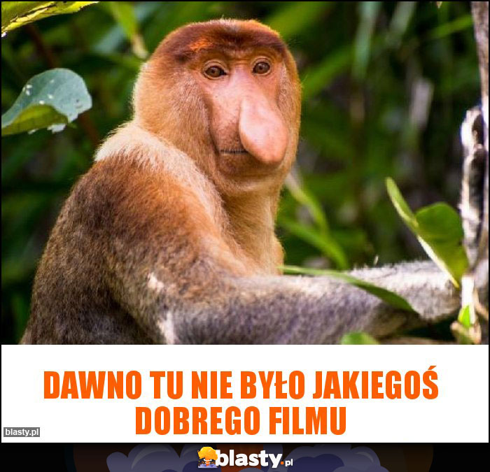 Dawno tu nie było jakiegoś dobrego filmu