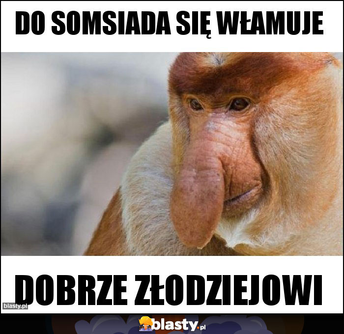 Do somsiada się włamuje