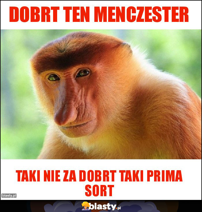 Dobrt ten Menczester