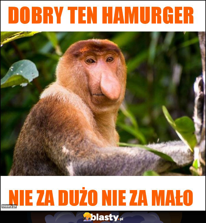 Dobry ten hamurger