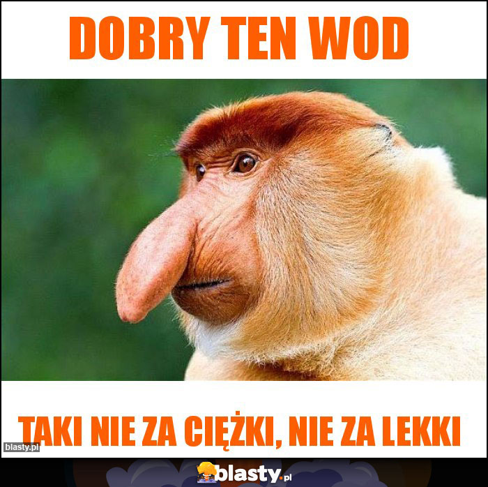 Dobry ten wod