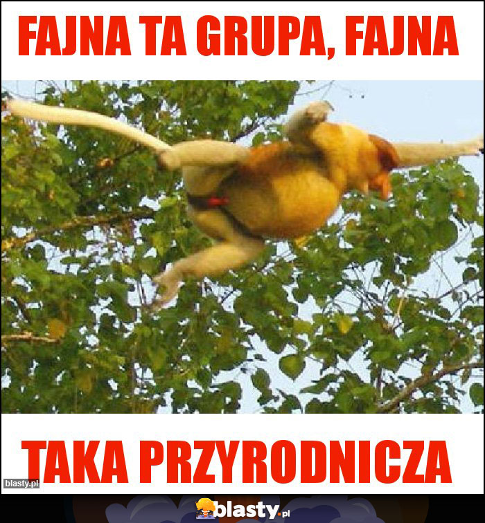 Fajna ta Grupa, fajna