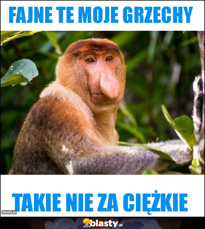 Fajne te moje grzechy