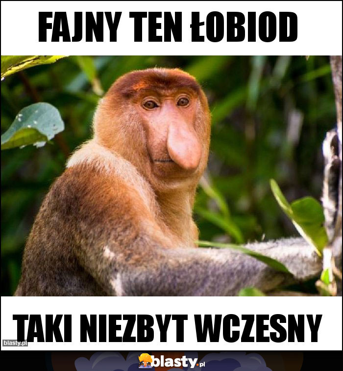 Fajny ten łobiod