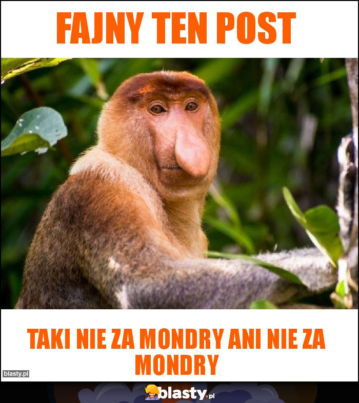 Fajny ten post