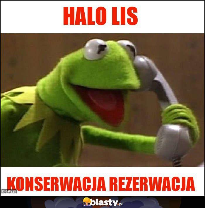 Halo lis