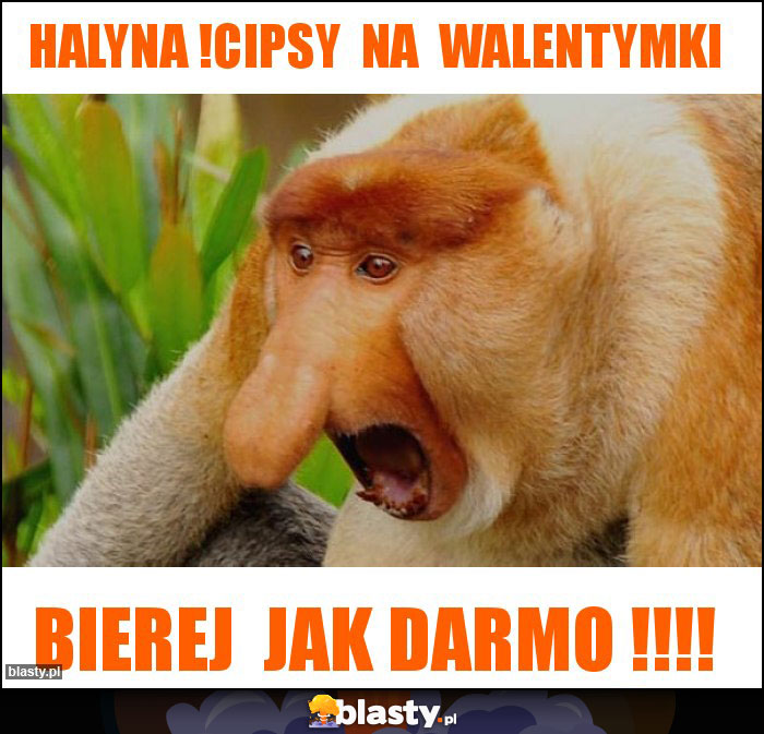 Halyna !cipsy  na  walentymki