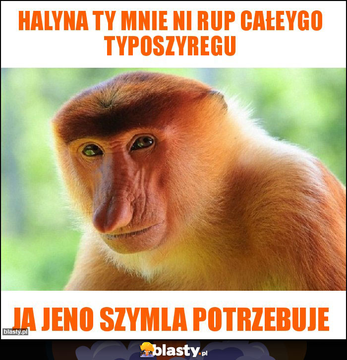 Halyna ty mnie ni rup całeygo typoszyregu