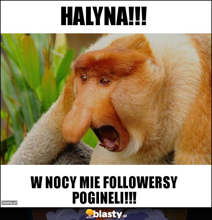 Halyna!!!