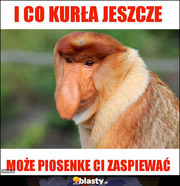 I CO KURŁA JESZCZE