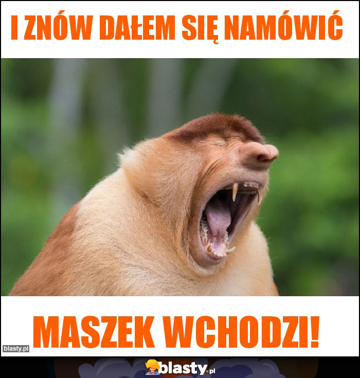 I znów dałem się namówić