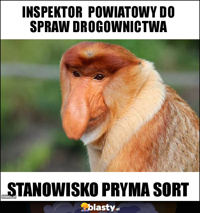 Inspektor  powiatowy do spraw drogownictwa