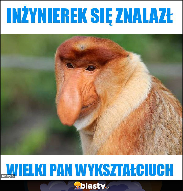 Inżynierek się znalazł