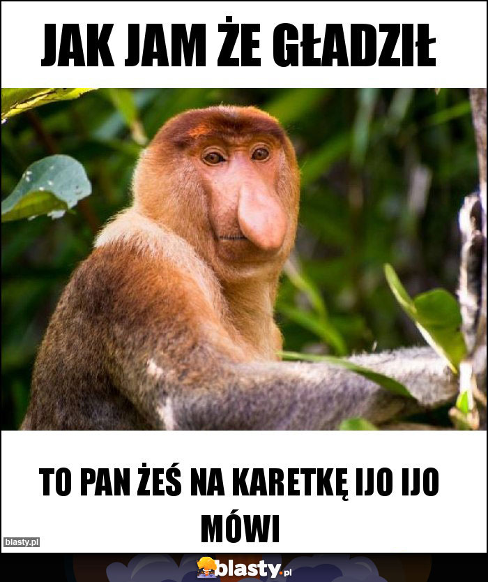 Jak jam że gładził