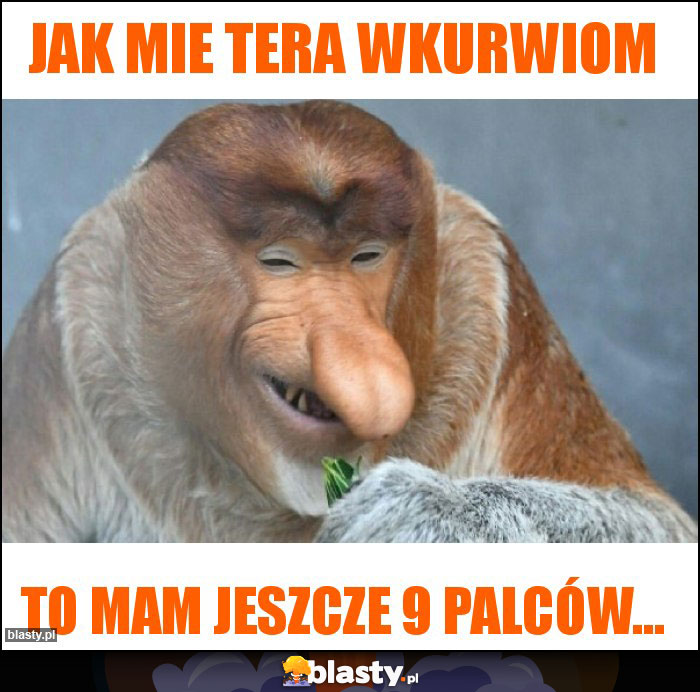 Jak mie tera wkurwiom