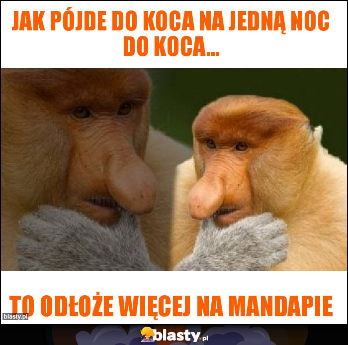 Jak pójde do koca na jedną noc do koca...