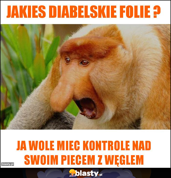 JAKIES DIABELSKIE FOLIE ?