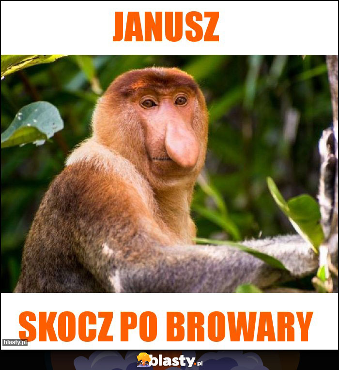 Janusz