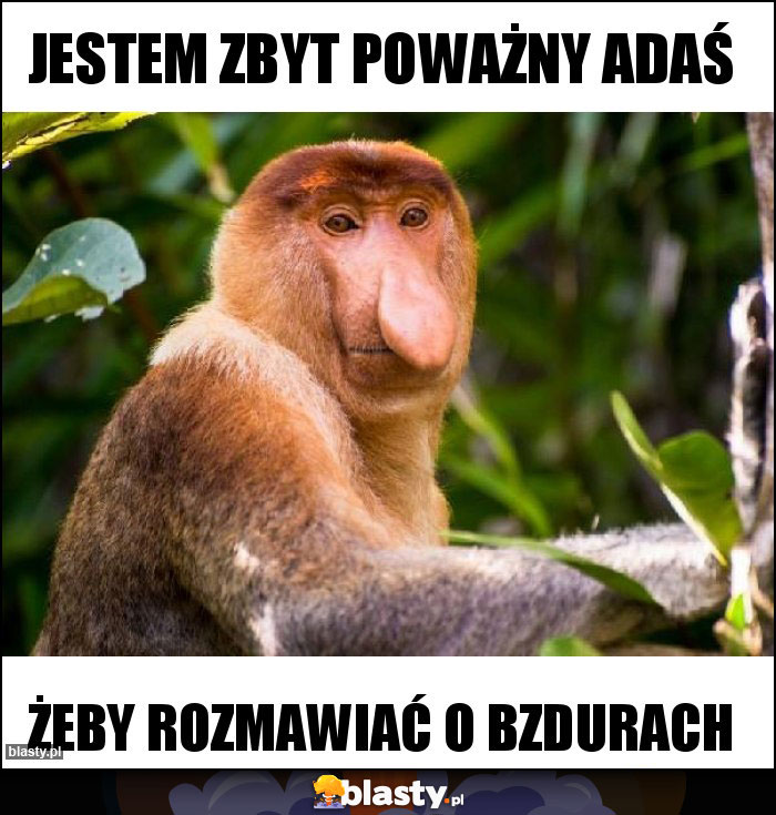 Jestem zbyt poważny Adaś