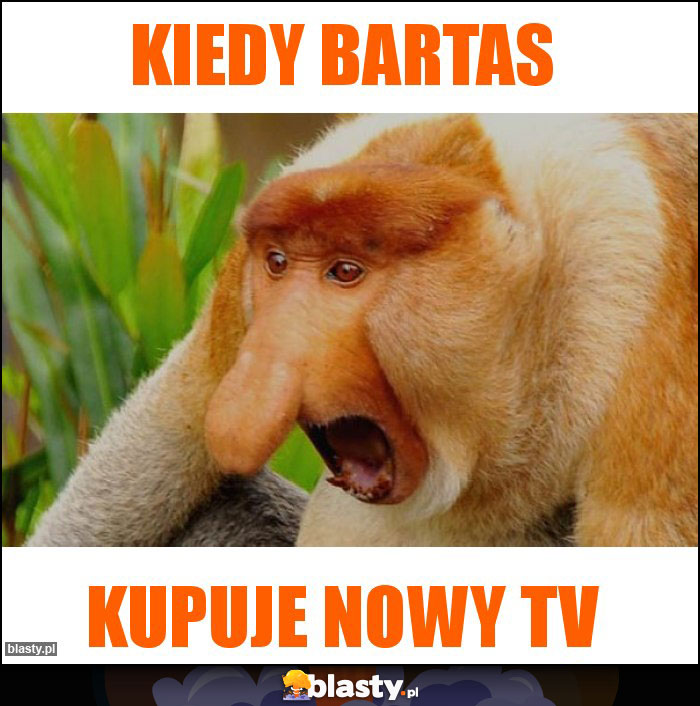 Kiedy bartas