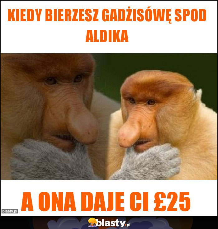 Kiedy bierzesz gadżisówę spod aldika