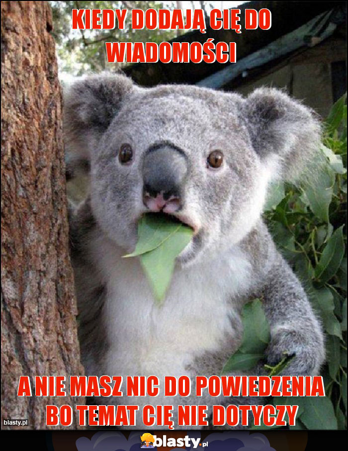 Kiedy dodają Cię do wiadomości