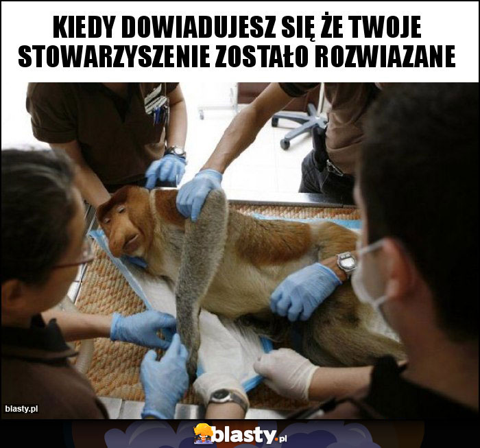 KIEDY DOWIADUJESZ SIĘ ŻE TWOJE STOWARZYSZENIE ZOSTAŁO ROZWIAZANE