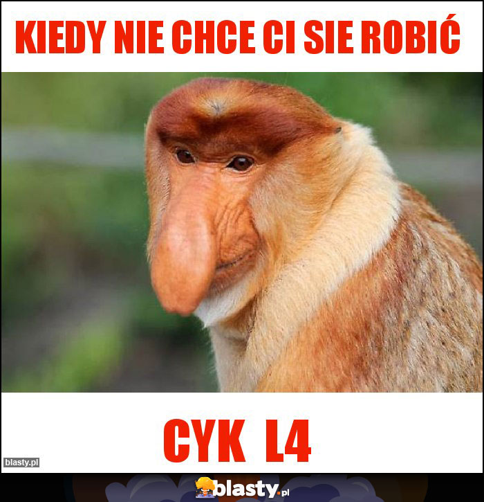 Kiedy nie chce Ci sie robić