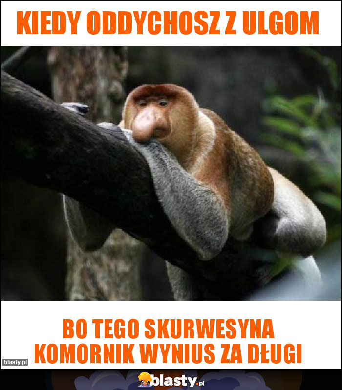 Kiedy oddychosz z ulgom