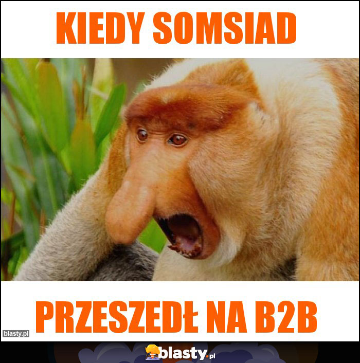 kiedy somsiad