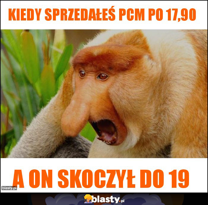 kiedy sprzedałeś PCM po 17,90