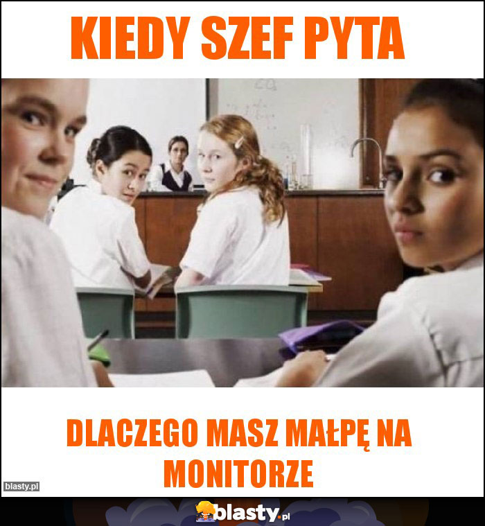 Kiedy szef pyta