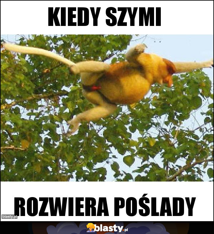 Kiedy Szymi