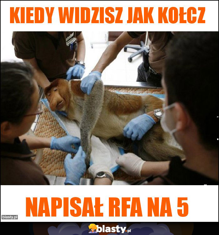 Kiedy widzisz jak Kołcz