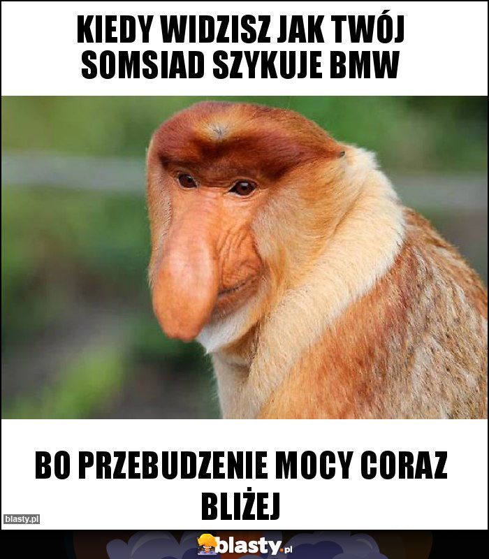 Kiedy widzisz jak twój somsiad szykuje bmw