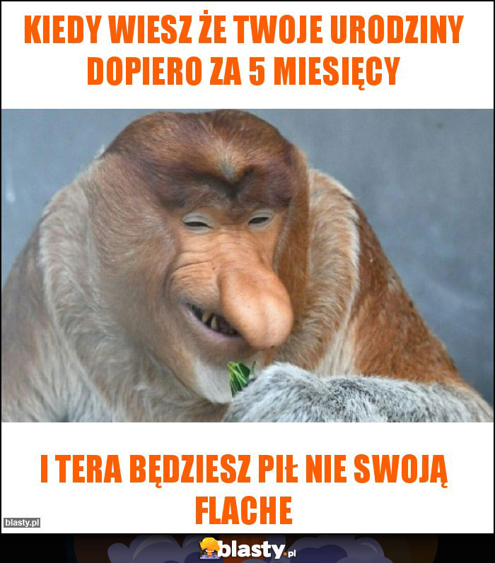 Kiedy wiesz że twoje urodziny dopiero za 5 miesięcy