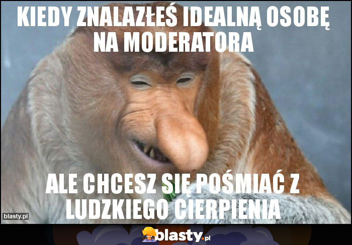 Kiedy znalazłeś idealną osobę na moderatora