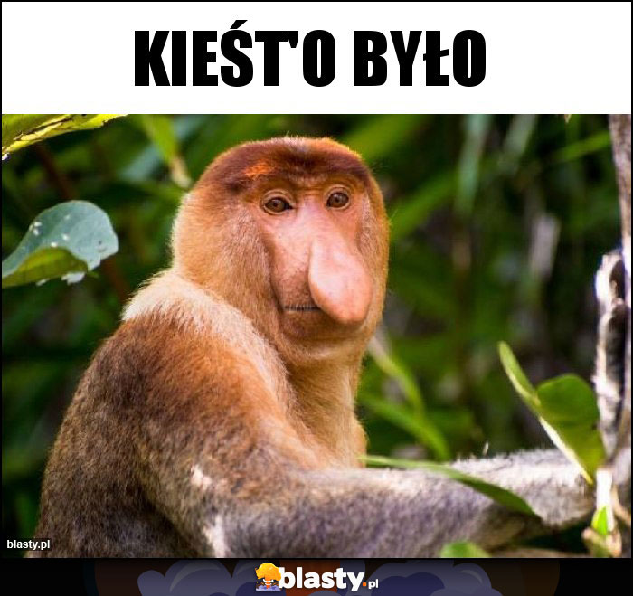 KiEŚT'o było