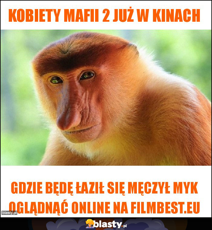 Kobiety Mafii 2 już w kinach