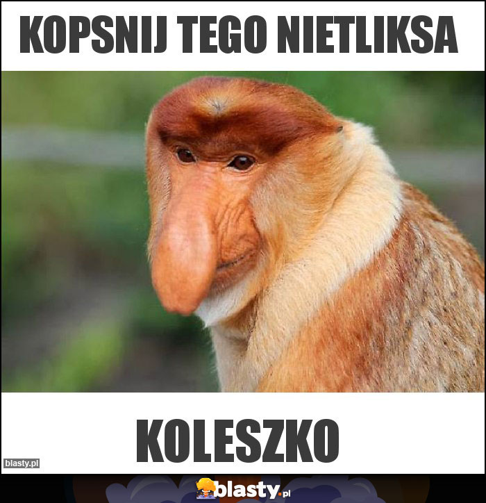 Kopsnij tego nietliksa