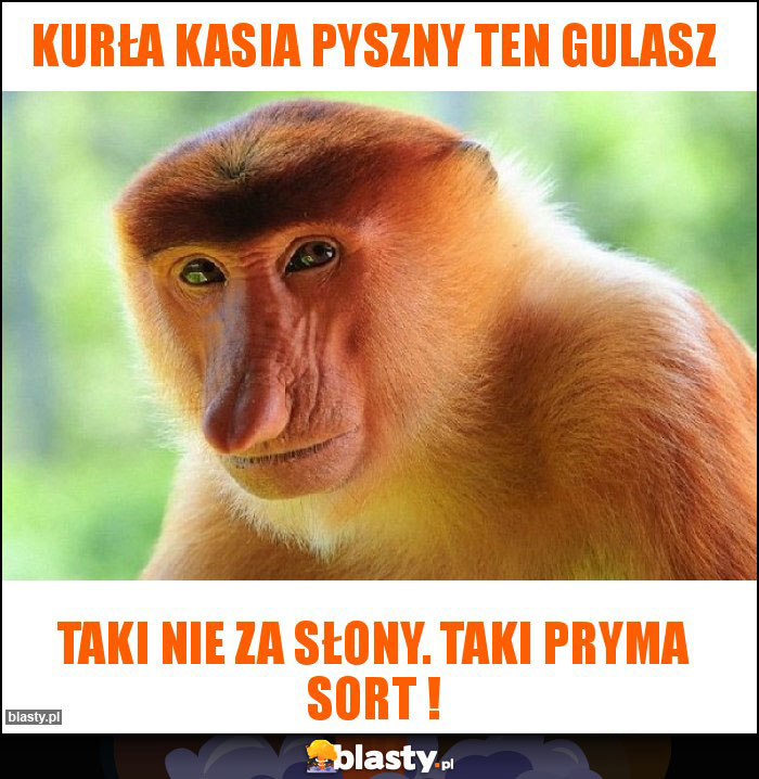 KURŁA kASIA PYSZNY TEN GULASZ