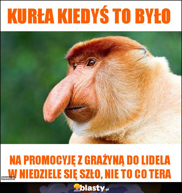 Kurła kiedyś to było