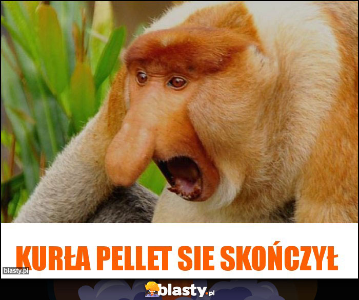 kurła pellet sie skończył