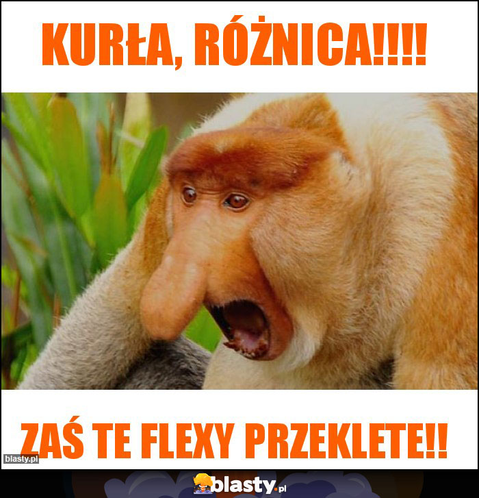 Kurła, Różnica!!!!