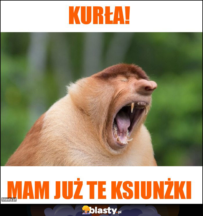 KURŁA!